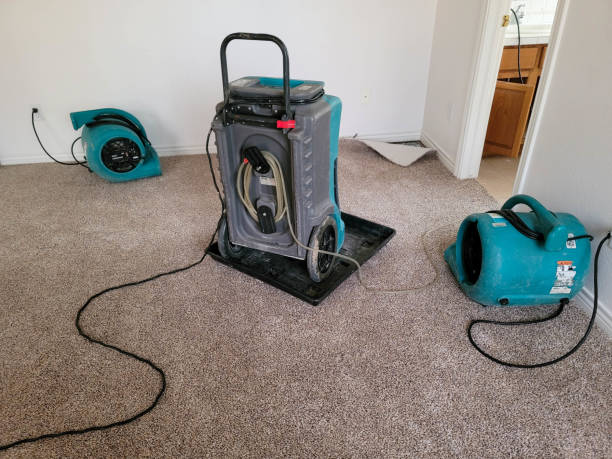 Best Water damage restoration process  in Nanuet, NY