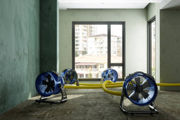 Best Water damage restoration near me  in Nanuet, NY